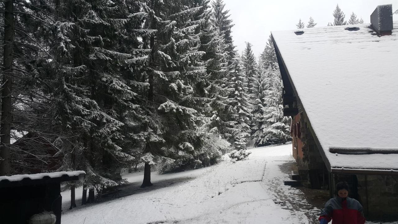Chata Kiki Malino Brdo Ruzomberok Exterior photo
